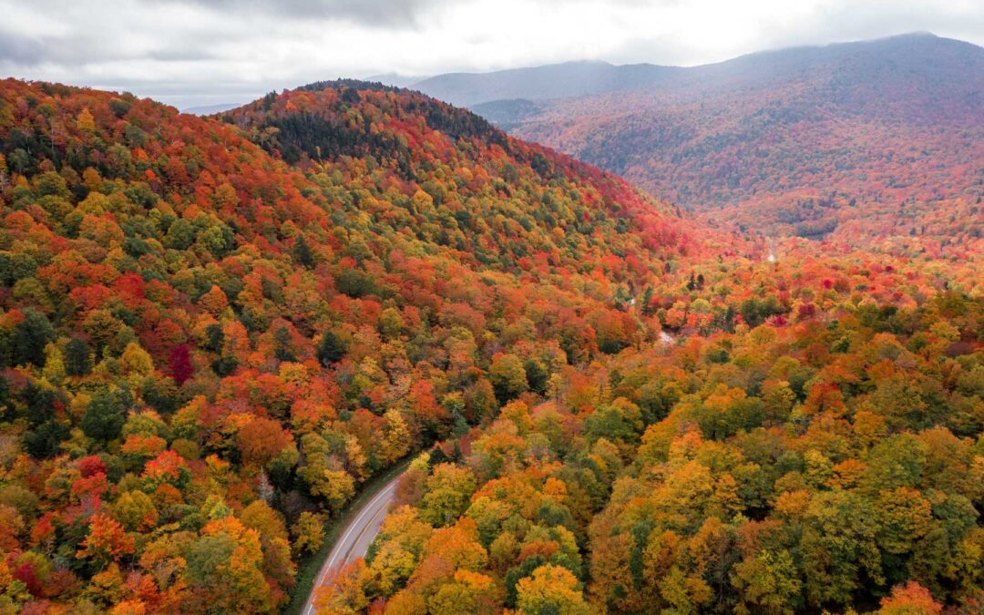 Exploring Vermont’s National Parks: The Best Charter Bus Routes